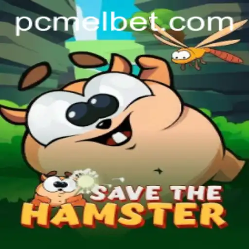 SavetheHamster: The Digital Adventure Redefining Family Gaming